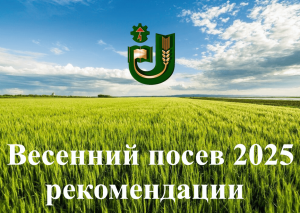 Рекомендации ВЕСЕННИЙ ПОСЕВ 2025 ГОДА